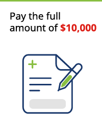 Pay the full amount of $10,000. Bill icon.